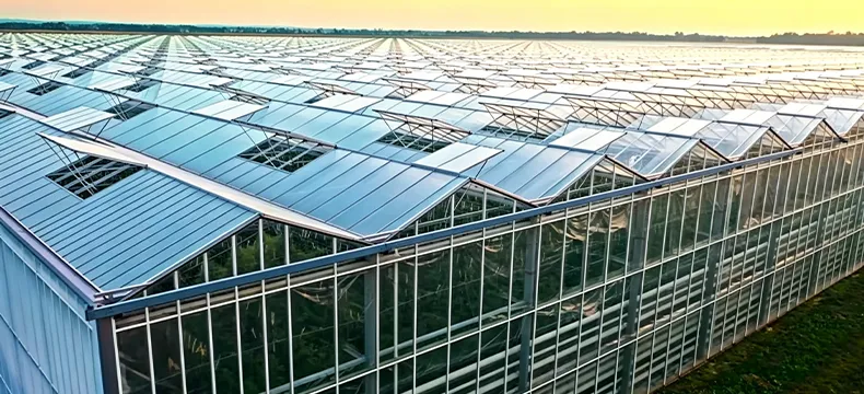 Agricultural Greenhouse Complex in Africa