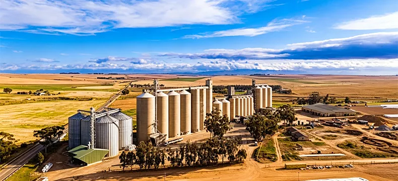 Grain Storage Silos in Africa