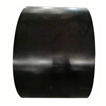 PPGI Steel Coil