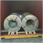 Packaging & Shipment