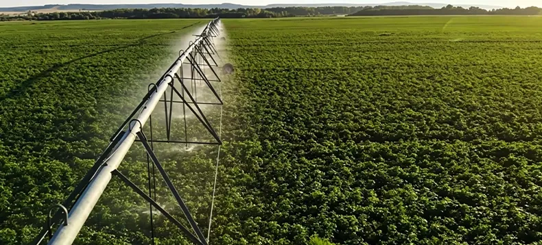 irrigation infrastructure